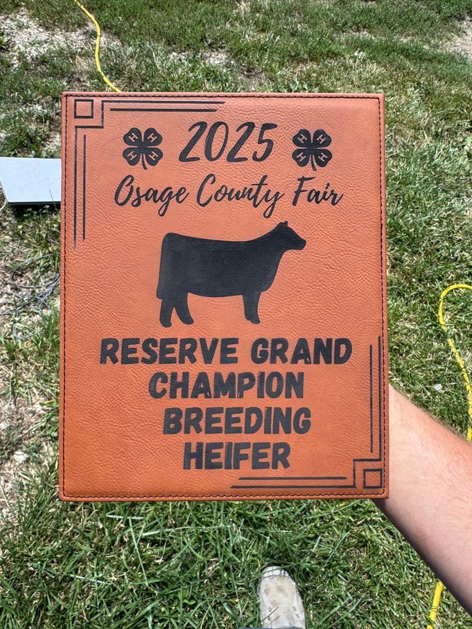 Plaques